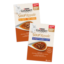 Gourmet soup royale